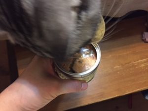猫はさば缶食べる
