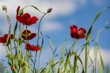 糖質制限の気づきのイメージ